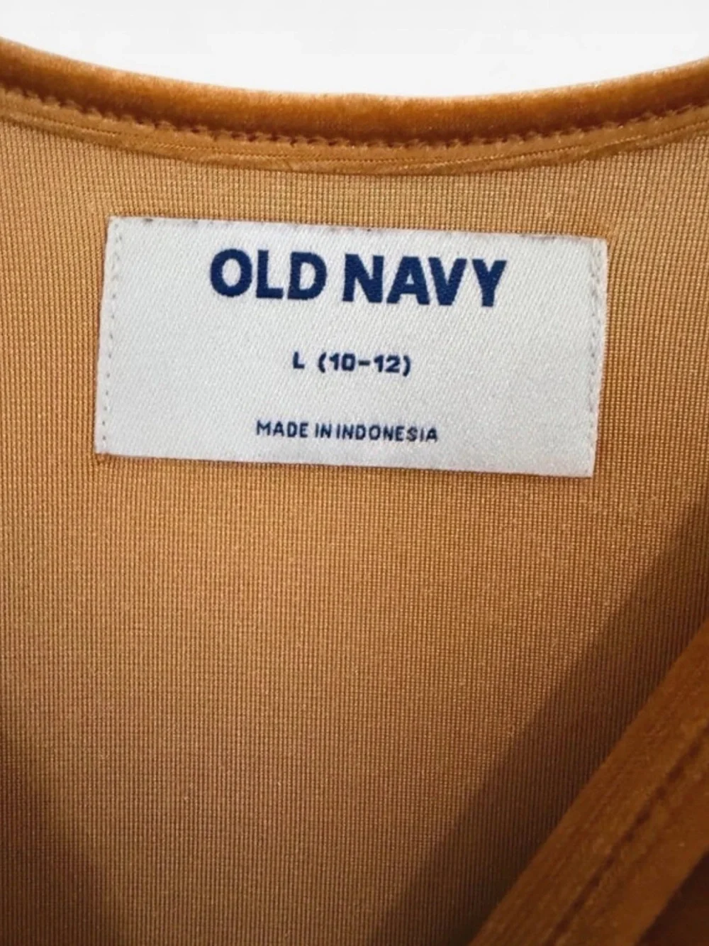 Girls' Velvet Long-Sleeve Dress in Rust